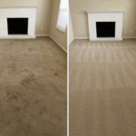 Best Residential Carpet Cleaning